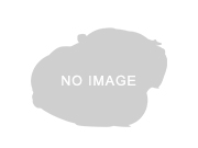 その他 4輪（自動車）