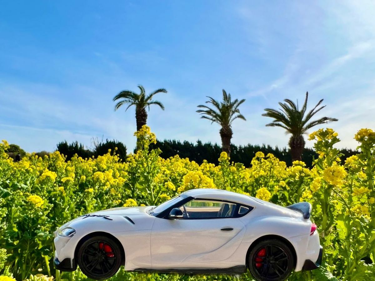 その他 4輪（自動車）