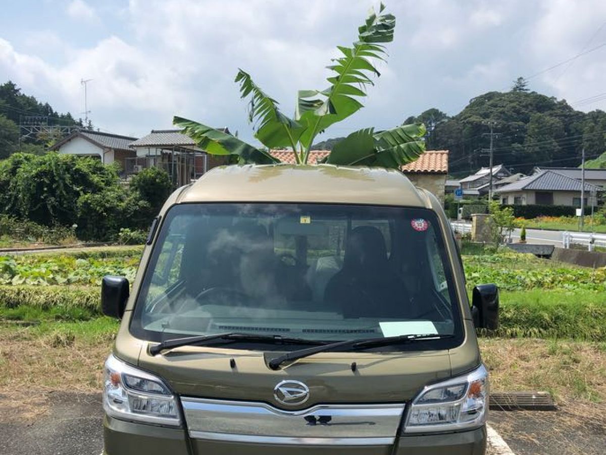 ダイハツ ハイゼットトラック