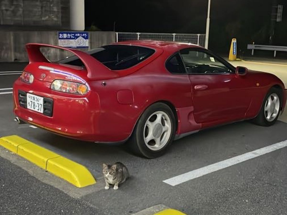 トヨタ スープラ