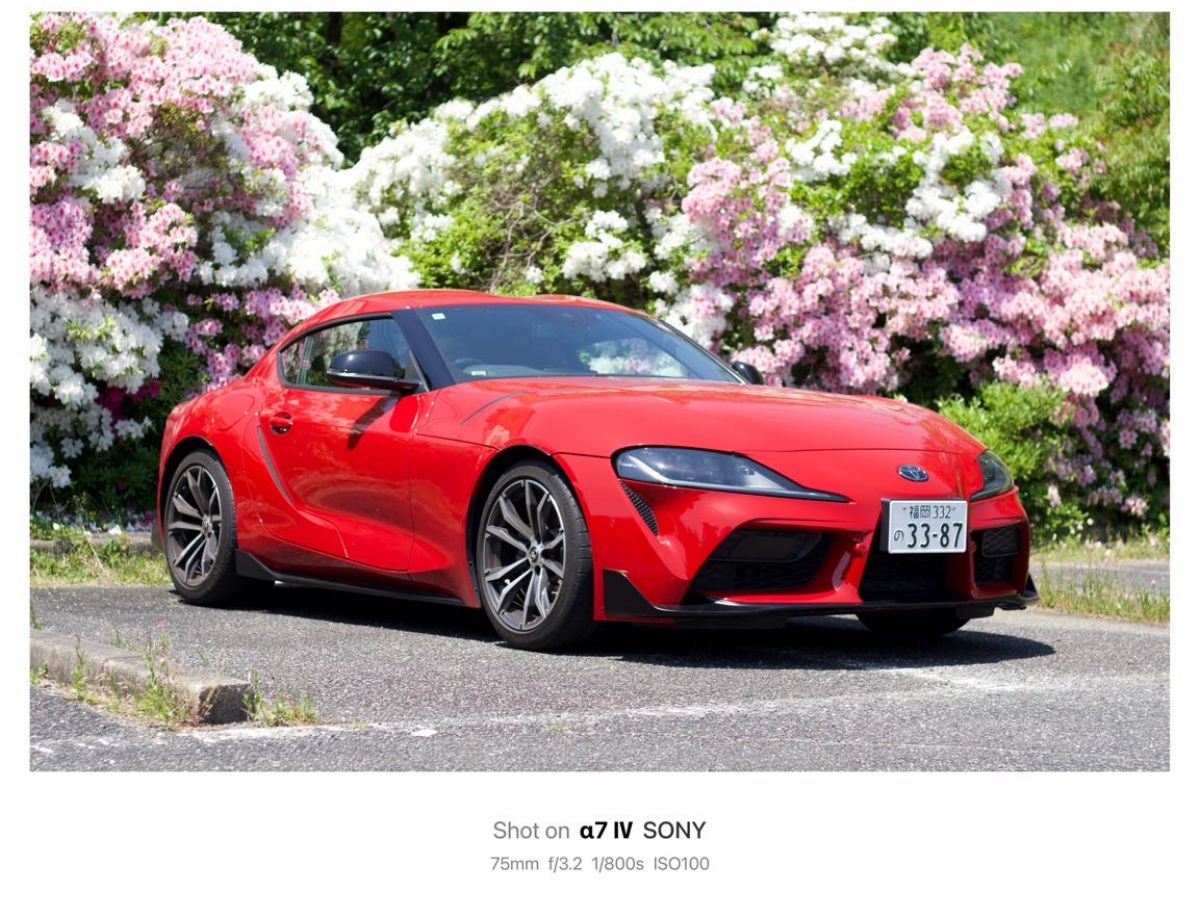 トヨタ スープラ