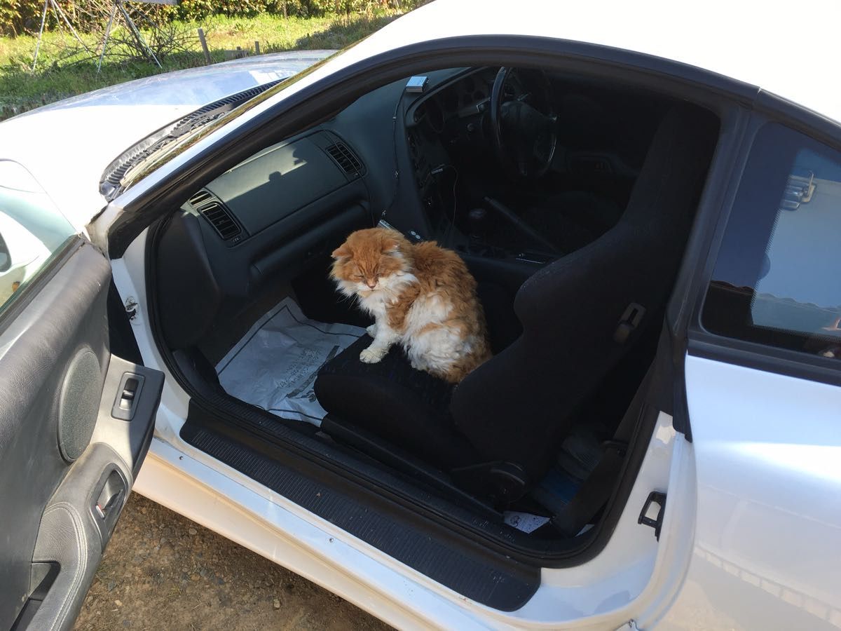 トヨタ スープラ