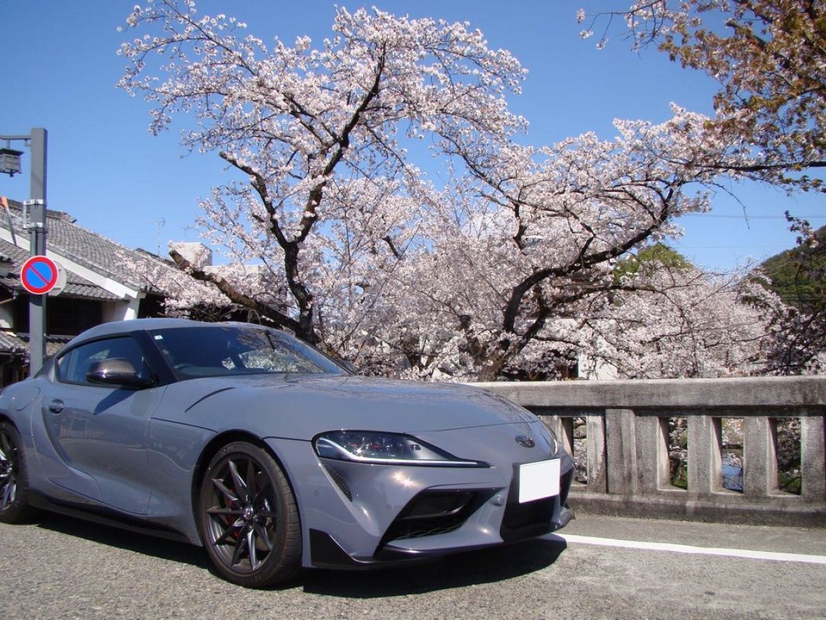 トヨタ スープラ