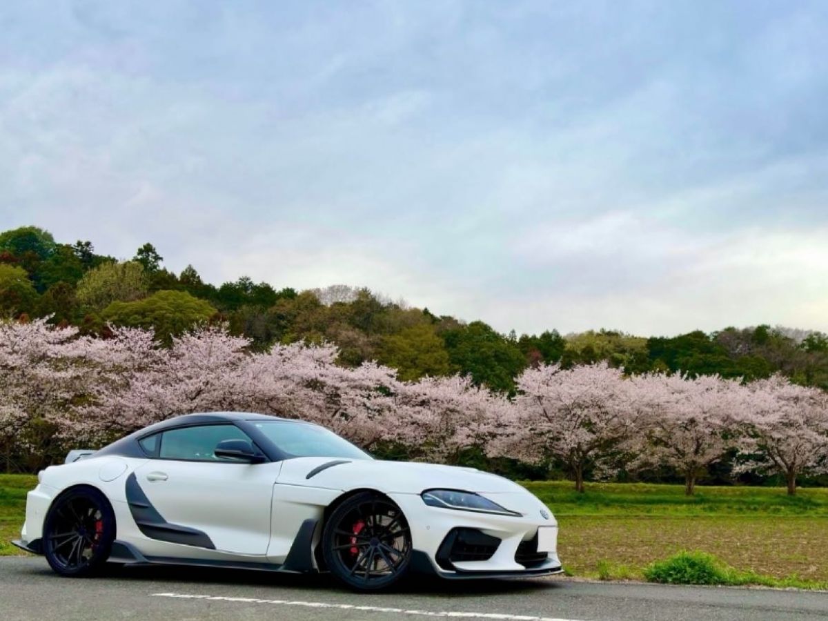 トヨタ スープラ